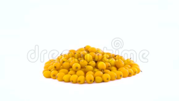 成堆的橙黄色普通沙棘浆果在转盘上旋转分离在白色背景上侧视图视频的预览图