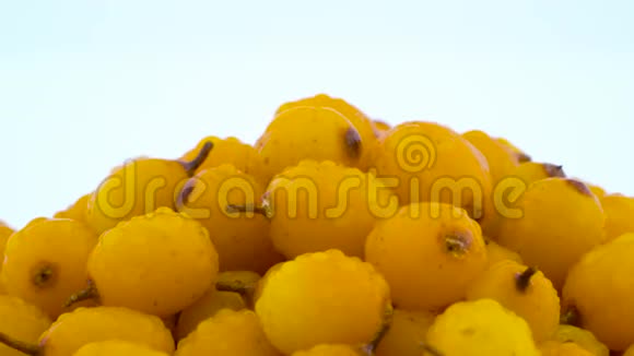 大范围拍摄橙黄色普通沙棘浆果堆与水滴旋转转盘隔离上视频的预览图