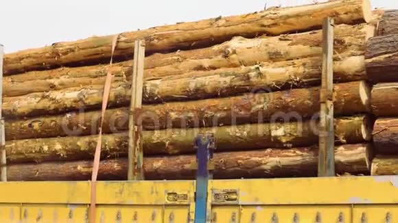 满载砍伐树木的伐木卡车满载伐木卡车视频的预览图