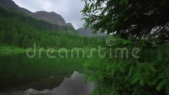 森林中央的绿湖和阿尔卑斯山的高山视频的预览图