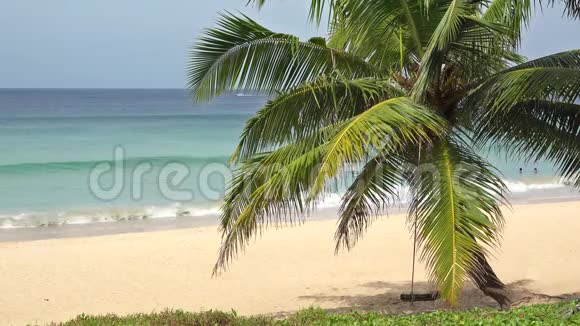 在异国海岛的热带微风中椰子树上悬挂着放松的秋千视频的预览图