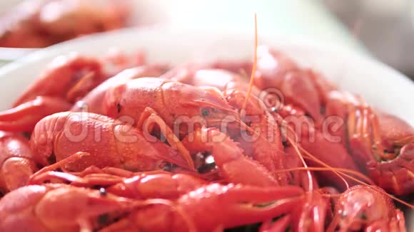 红色煮熟的小龙虾用蒸汽美味的食物和超级慢动作紧紧地贴在托盘上视频的预览图