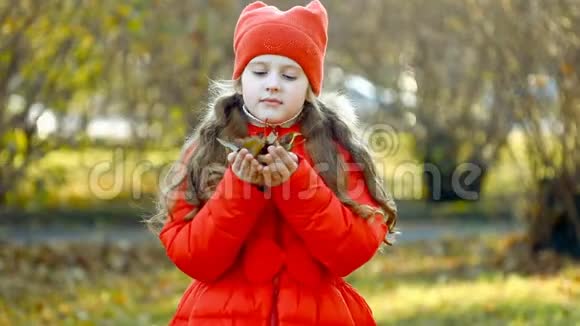 笑着的小女孩把秋叶扔到空中视频的预览图