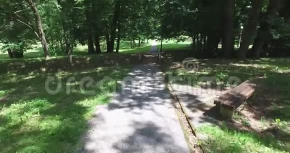 夏天在树荫和阳光下穿过公园周围是绿色植物视频的预览图