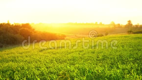 黎明越过绿茵场夏日的阳光从地平线上穿过夕阳西下的丘陵草原视频的预览图