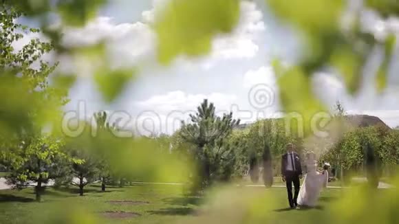 新郎新娘在草地上视频的预览图