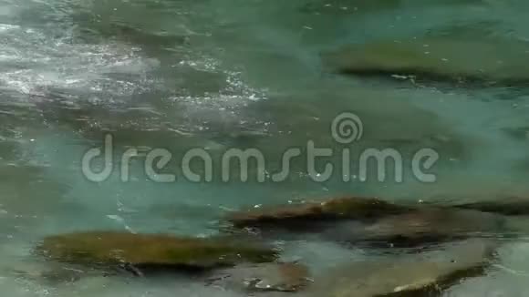 一条鳟鱼上钩捕鱼视频的预览图