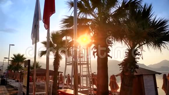 清晨阳光透过沙滩上的棕榈树照射视频的预览图