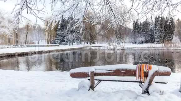 美丽的冬季贺卡慢动作降雪城市公园里的第一场雪鸭子在结冰的池塘和一张长凳上覆盖着视频的预览图