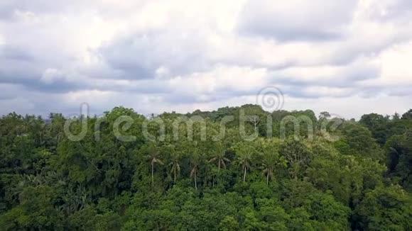 印度尼西亚巴厘岛空中自然公园视频的预览图