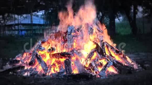 傍晚一场大火和一块木头落在草地上视频的预览图
