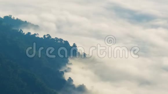 雾穿过山脊的森林时间流逝视频的预览图