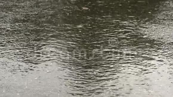 潮湿的沥青下雨了特写镜头视频的预览图