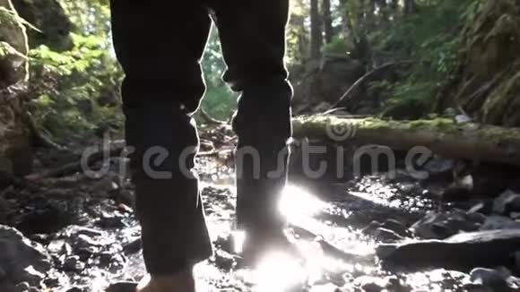 春天一个人在绿色森林中漫步背景是阳光录像关门视频的预览图