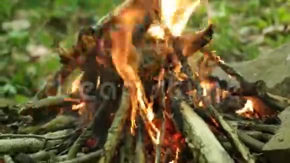 燃烧篝火视频的预览图