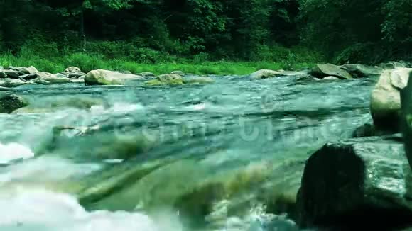 惊人壮丽快速石山野生河流运行在茂密的绿色森林视频的预览图