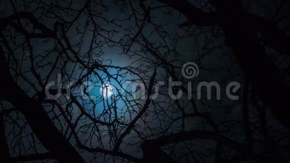 夜晚的月亮和云彩视频的预览图