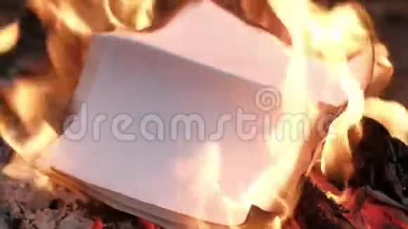 一堆纸被烧在火里视频的预览图