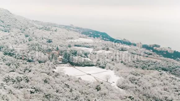 在近海岸和冬季大海的雪覆盖的山坡和山林中鸟瞰现代别墅视频的预览图