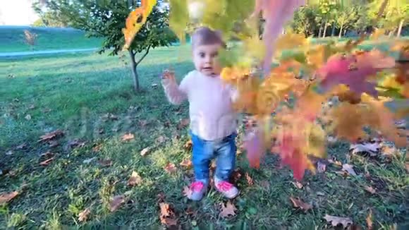 秋天美丽的小女孩在树旁玩红叶十个月宝宝在公园散步快乐视频的预览图