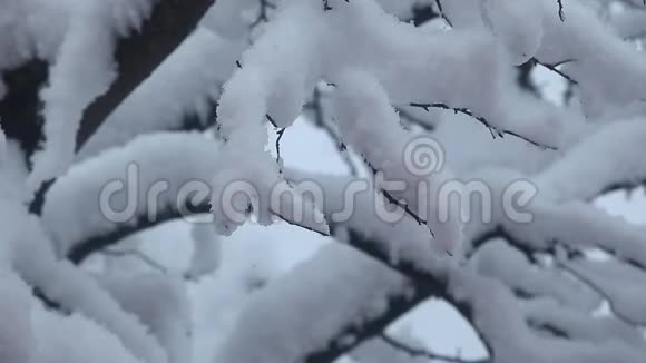 莫斯科城市雪高清镜头视频的预览图
