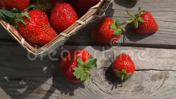 桌上摆着一篮子成熟的草莓视频的预览图