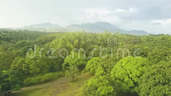用芒果树在山上和天空景观上进行无人机观赏热带果园空中景观绿色芒果花园视频的预览图