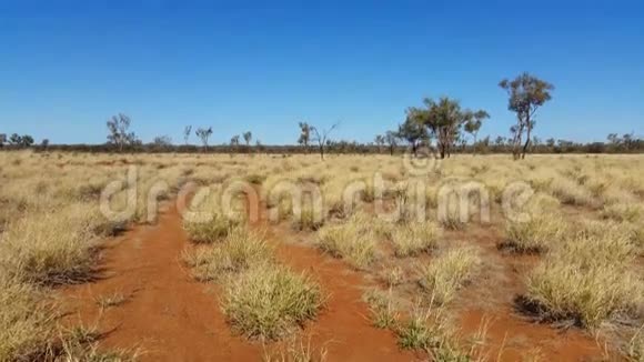 澳大利亚内陆地区红沙漠和干旱草原视频的预览图