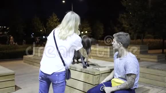 年轻夫妇在夜间公园训练一只狗视频的预览图