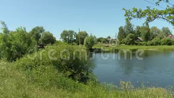 夏天阳光明媚的中午一条有沼泽海岸的河在远处你可以看到村庄视频的预览图
