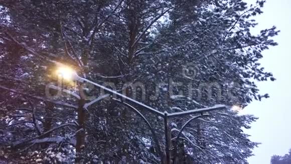 街灯在雪地里对着森林剪辑双灯照亮雪景的顶部景观视频的预览图