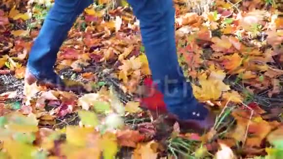 脚人走在落叶上户外背景是秋天的自然生活时尚潮流风格视频的预览图