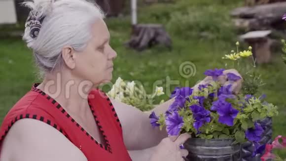 老妇人在她的花园里工作视频的预览图