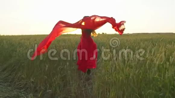 快乐的年轻美丽的女人身穿红裙子戴着围巾在夕阳下的夏天奔跑在麦田里视频的预览图