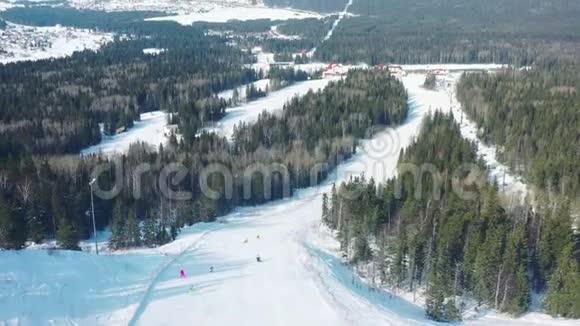 从滑雪道两侧有针叶树的滑雪道上观看滑雪坡和人们滑雪板视频的预览图
