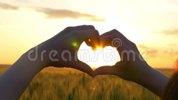 女人用双手在日出或日落时在麦田里塑造心脏视频的预览图