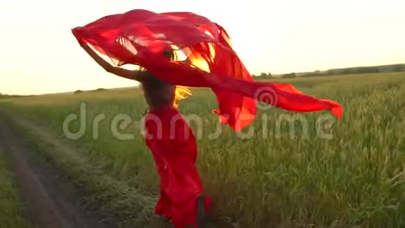 快乐的年轻美丽的女人身穿红裙子戴着围巾在夕阳下的夏天奔跑在麦田里视频的预览图