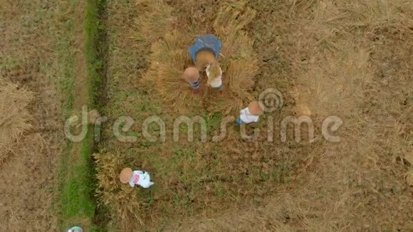 空中拍摄农民用传统方式打谷水稻亚洲概念旅行视频的预览图