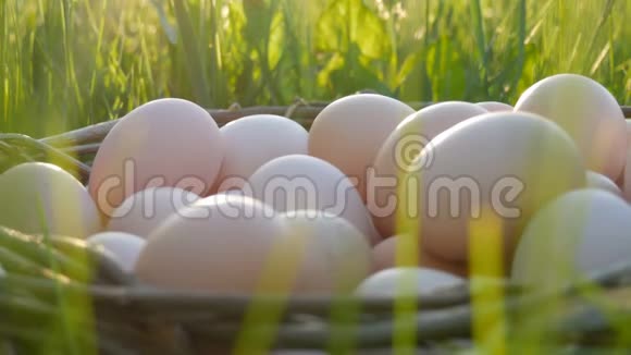 在阳光的照射下绿色的草地上有一个手工制作的柳条窝这是一个巨大的自制鸡蛋的场景视频的预览图