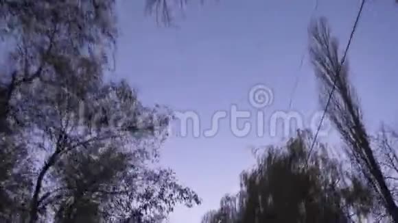 傍晚日落背景下快速移动的树木和鸟类的顶部拍摄视频的预览图