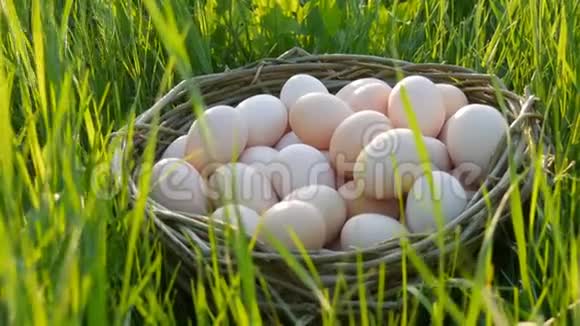 在阳光的照射下绿色的草地上有一个手工制作的柳条窝这是一个巨大的自制鸡蛋的场景视频的预览图
