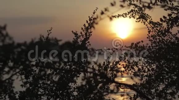 摘要背景视频的美丽日落在海上视频的预览图