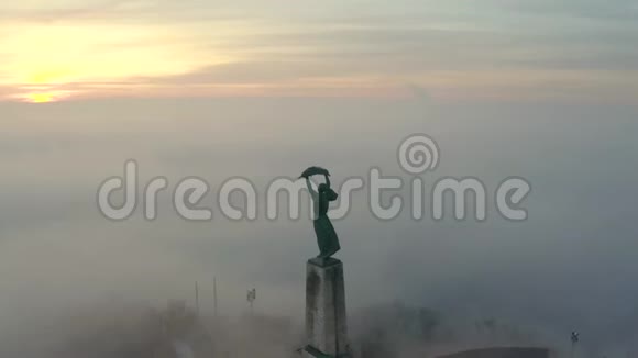 穆迪雾蒙蒙的早晨与自由女神像冬季视频的预览图