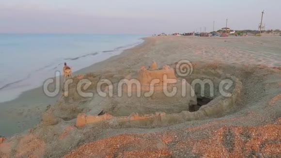 沙滩上的沙滩城堡背景是风筝和冲浪者帐篷狗在城堡上撒尿视频的预览图