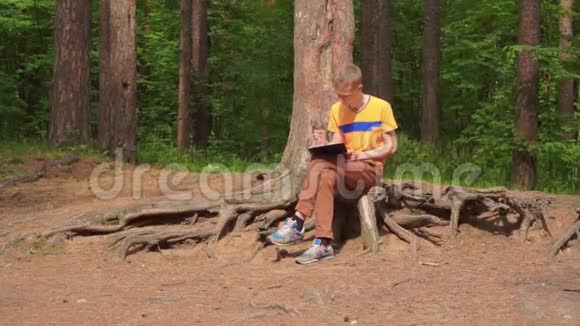 森林里的一个年轻人坐着用铅笔画一幅画视频的预览图