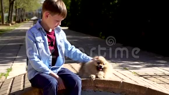 一个小男孩和一只小狗玩波美拉尼亚斯皮茨视频的预览图
