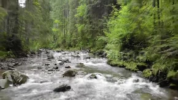 山林上的山河视频的预览图