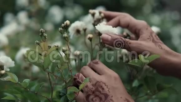 一个纹身的迈亨迪女人在花园里触摸玫瑰视频的预览图