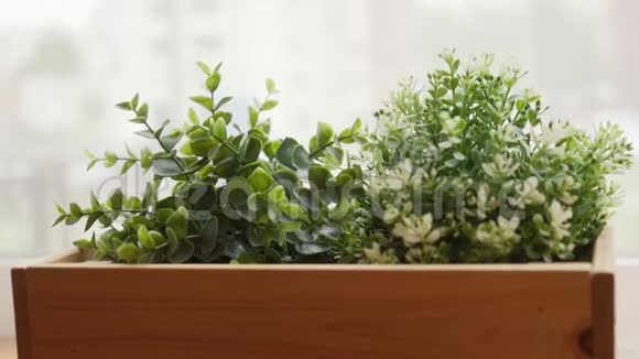 装有装饰物品的花盆里的小植物放在木箱上视频的预览图