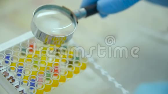 实验室助理或科学家通过放大镜检查细菌视频的预览图